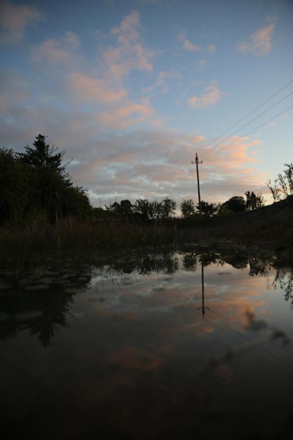 The Wild Edge First Light Cottage Knysna Kültér fotó
